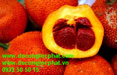 Gấc rất giàu vitamin và chất chống oxuy hóa, là một nguyên liệu không thể thiếu