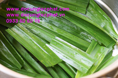 Lá dứa vắt lấy nước tạo màu xanh và mùi thơm tự nhiên